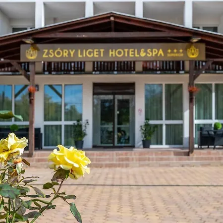 Zsory Liget & Superior Hotel Mezokovesd