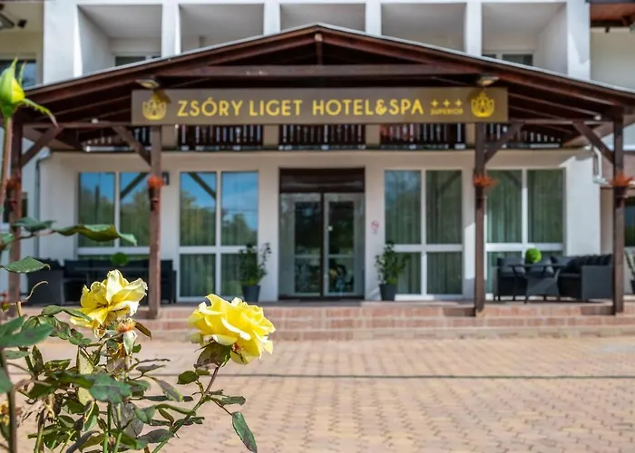 Zsory Liget & Superior Hotel Mezokovesd