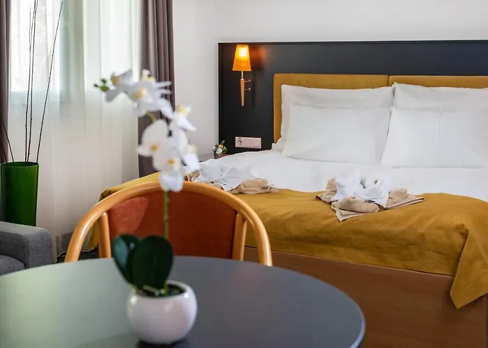 Hotell Zsory Liget & Superior